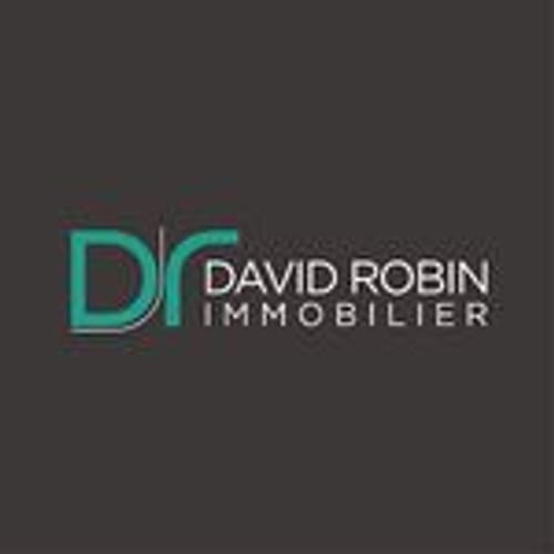 David Robin Immobilier