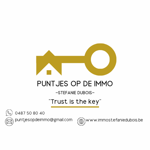 PUNTJES OP DE IMMO