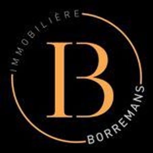 Immobilière Borremans