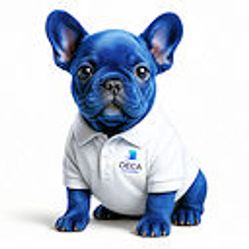 DECA IMMOBILIER